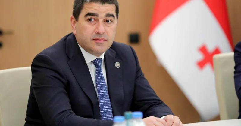 Şalva Papuaşvili: Avropa Parlamenti Avronest platformasını şantaj vasitəsinə çevirib