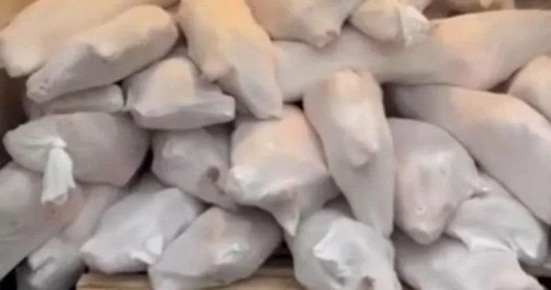 Azərbaycanda Monqolustandan gətirilən quzu əti satırlar Video