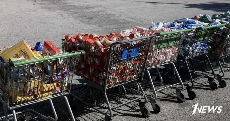 FT: свыше 40 млн американцев столкнутся с задержкой продпомощи из за шатдауна