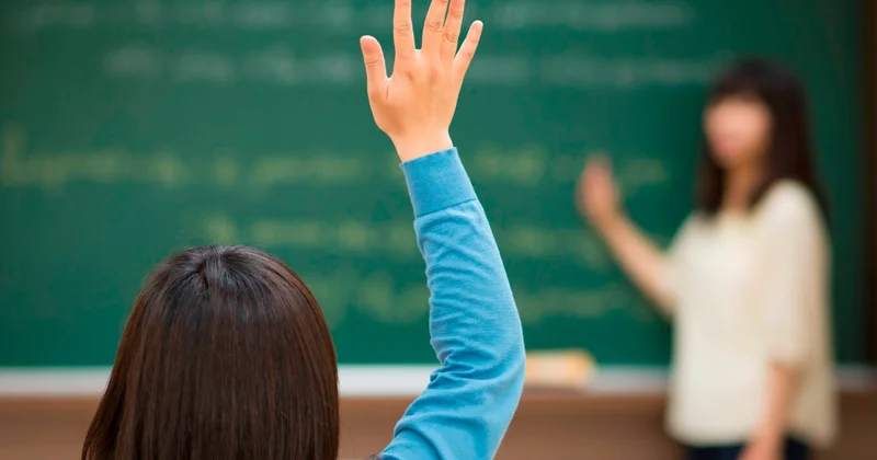 Ənənəvi təhsil, yoxsa kurikulum əmək bazarında hansı effektli nəticə verir?