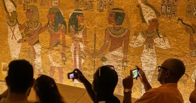 Misirdəki turistlər zəhərli ilan və balıqlar barədə məlumatlandırılırlar...