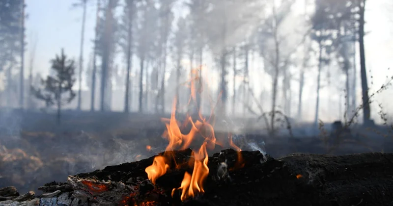 Trans Baykal bölgəsində yanğın mövsümü başa çatıb