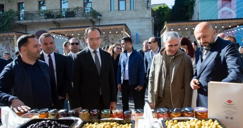 Azərbaycanda zeytunçuluğun inkişafı ixrac imkanlarını genişləndirməyə şərait yaradır