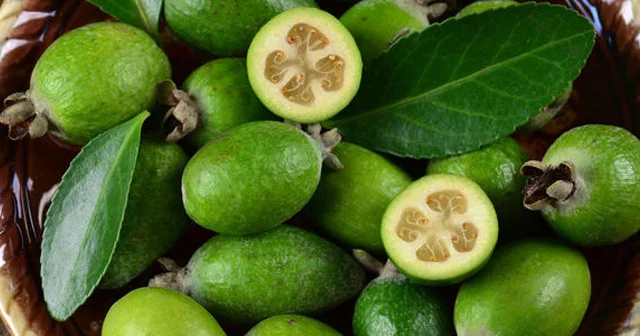 Bu payızda süfrənizdə olmalıdır: feyxoanın bədənə təsiri