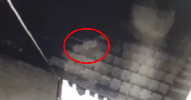 Rusiyada mühafizəçi işləyən qadın hər gecə ruhlar görür: Qorxunc görüntülər