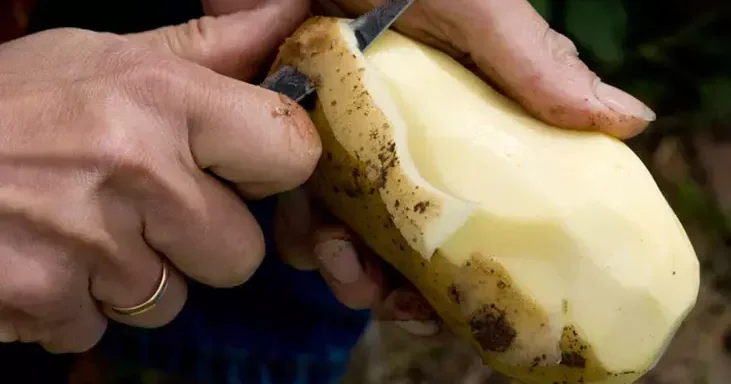 Gübrə yerinə istifadə edin, faydaları inanılmazdır!