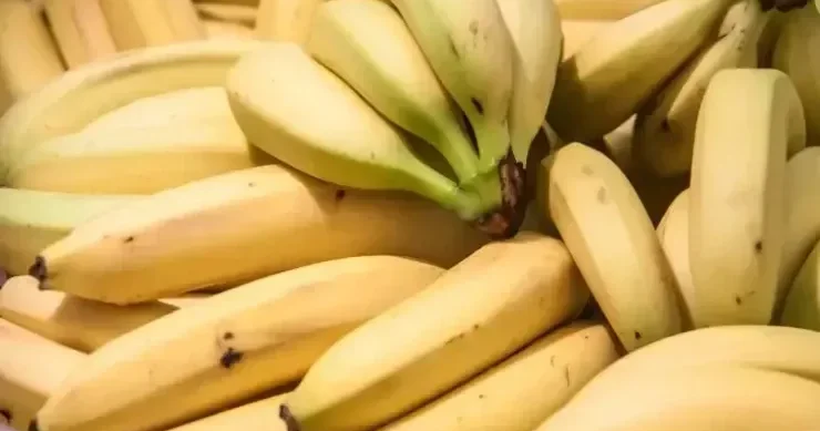 Yaşıl bananları tez bir zamanda yetişdirməyin YOLU