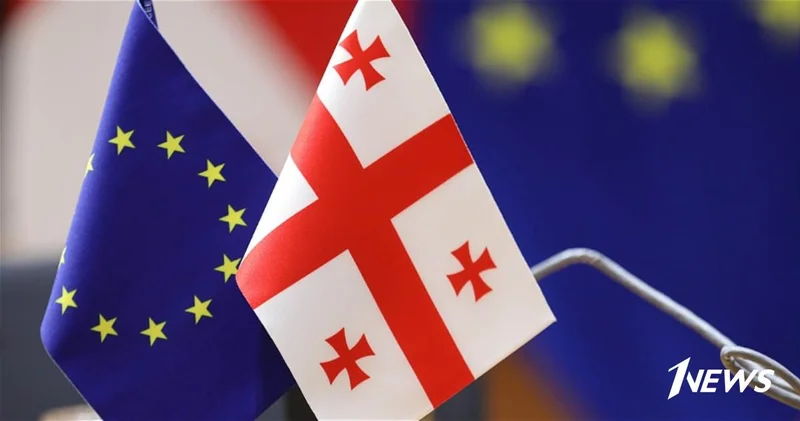 Грузия приостановила участие в ПА Евронест