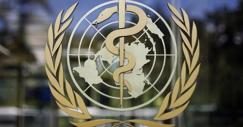 ВОЗ: Полмиллиона жителей Земли заразились холерой тысячи погибли