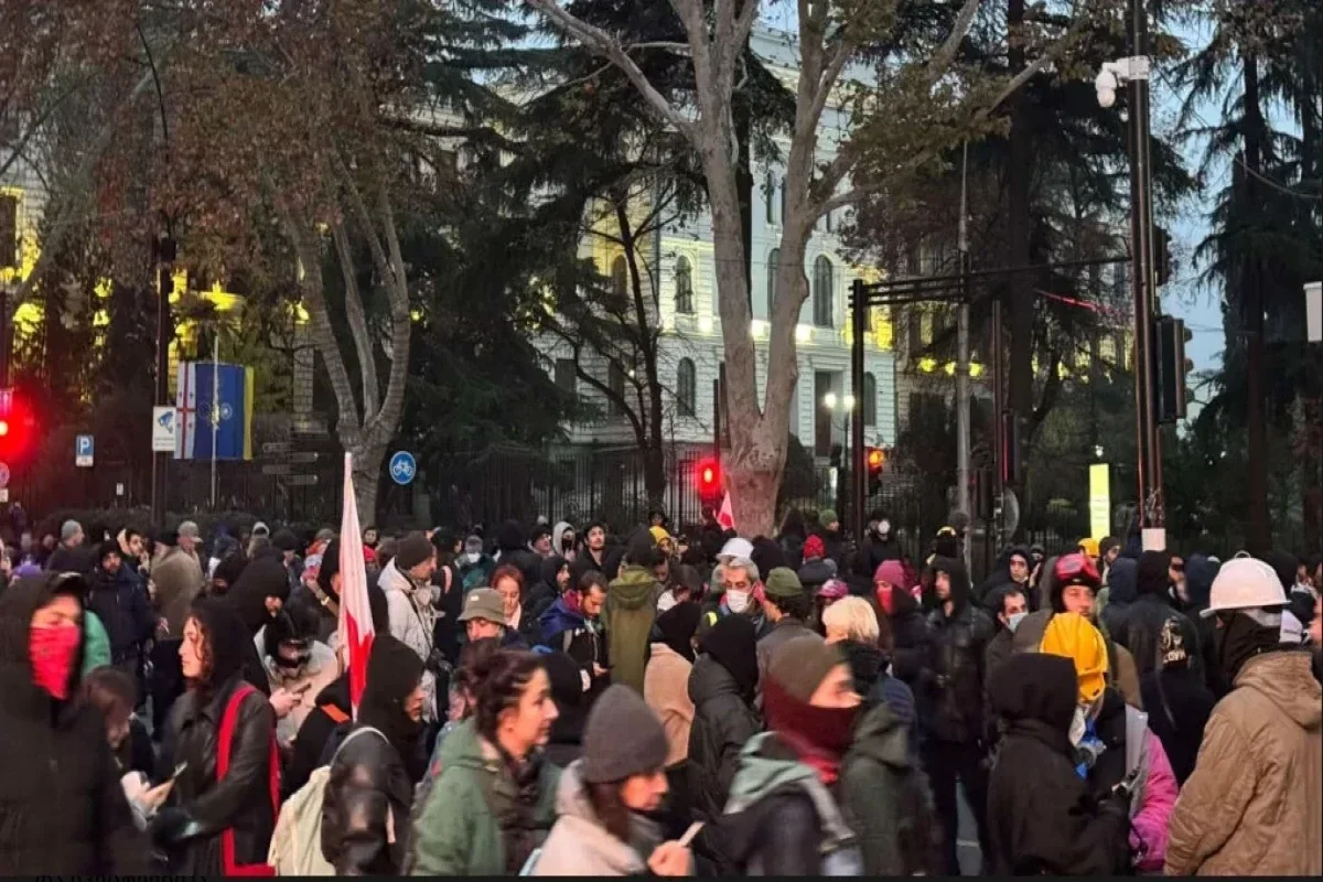 В Тбилиси возобновилась акция протеста перед зданием парламента