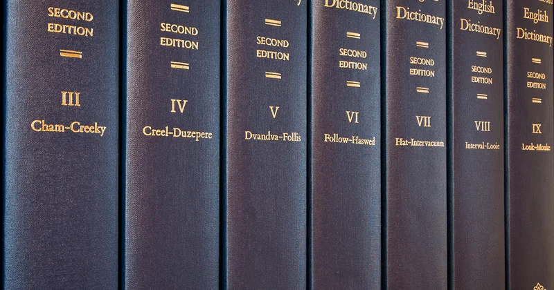 2025 ci ilin sözü bu oldu