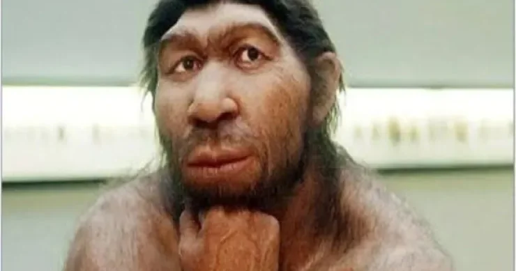 Müasir insanlar neandertallarla öpüşüb Maraqlı sübut