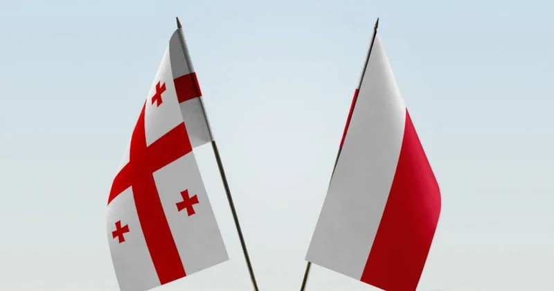 Polşa Gürcüstan vətəndaşlarına sadələşdirilmiş iş vizasının verilməsini dayandırıb