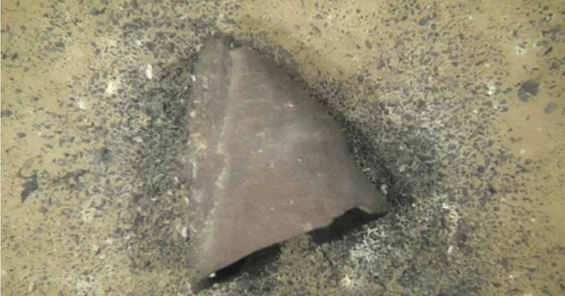 В Японии обнаружена одна из древнейших реликвий