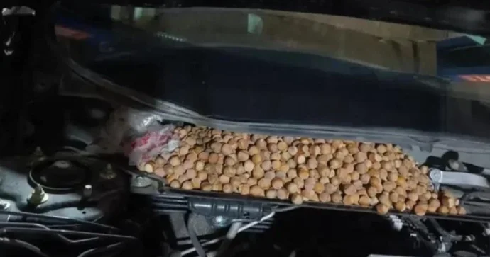 Çində avtomobilin fərqli hissələrindən 18 kiloqram fındıq çıxdı