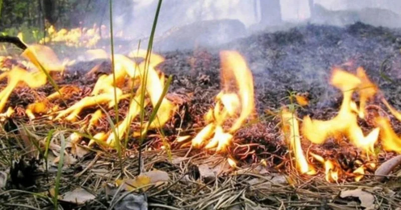 Крупный пожар охватил горные районы Лачина и Кяльбяджара ВИДЕО