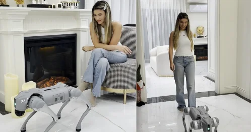 Азербайджанский блогер купила себе робота ВИДЕО