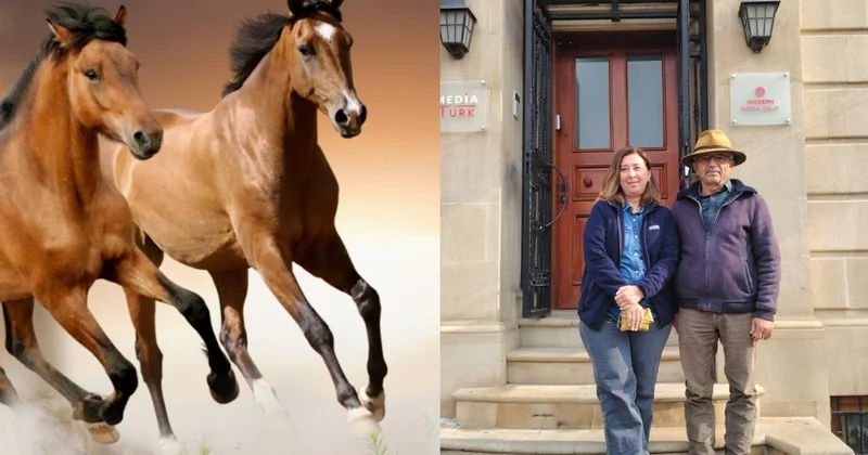 Qarabağda At Festivalı Türkiyədən maraqlı TƏKLİF