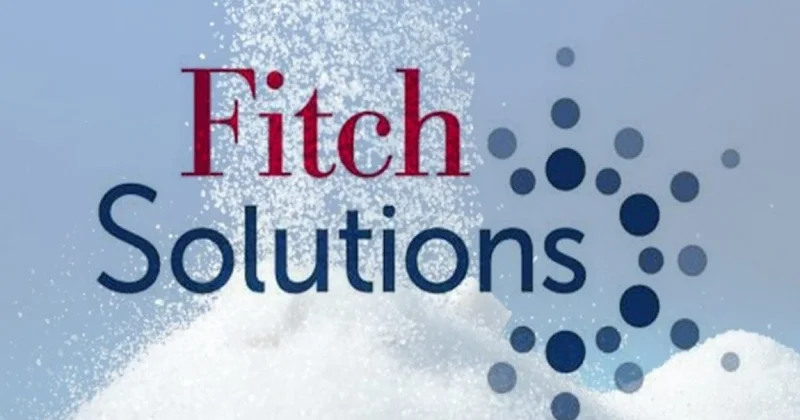 Fitch Solutions Azərbaycanın iqtisadi proqnozunu açıqlayıb