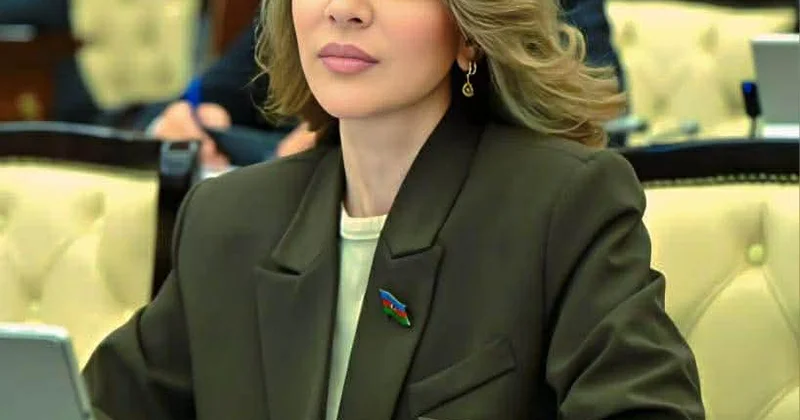 “Qahirədəki görüş ölkəmizin iqtisadi diplomatiyada yeni nüfuz dairəsinin başlanğıc nöqtəsi olacaq”