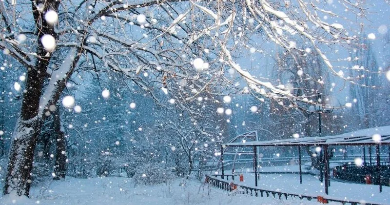 В Кяльбаджаре выпал снег ВИДЕО