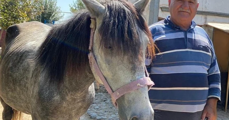 Vəli dayı, kəndimizdən muğayat ol!