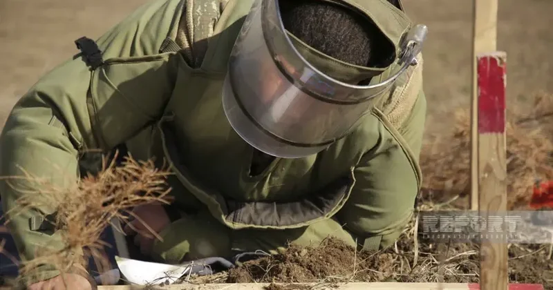 Ötən ay 6 min hektardan çox ərazi minalardan təmizlənib