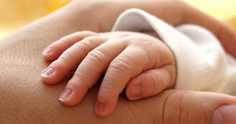 Bu il 138 uşaq övladlığa verilib Rəsmi