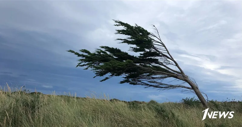 Погода на вторник: В Баку усилится ветер