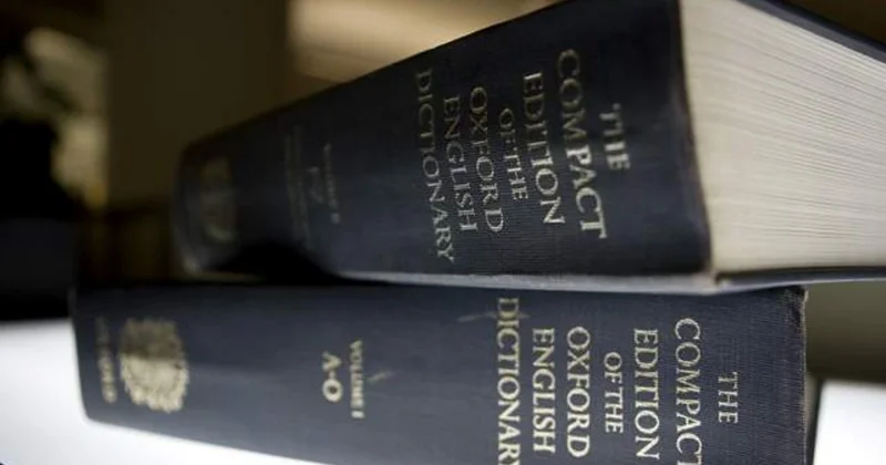 Oksford lüğəti 2025 ci ilin sözünü açıqladı