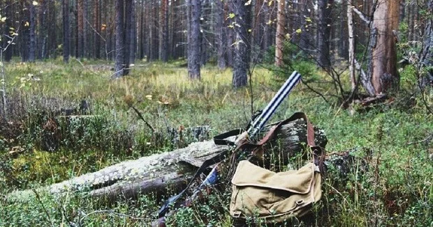 В Азербайджане досрочно завершился охотничий сезон