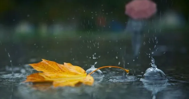 Ölkədə son hava durumu açıqlandı