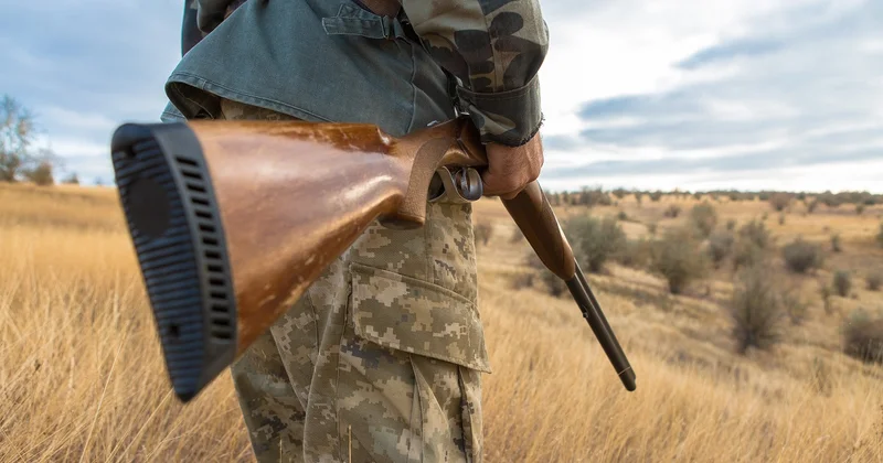 В Азербайджане из за климатических изменений закрылся сезон охоты Minval Politika