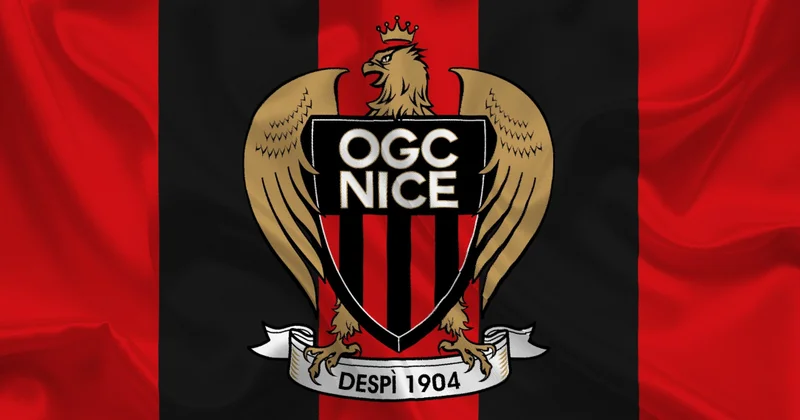 Фанаты французского клуба избили и оплевали своих футболистов Minval Politika