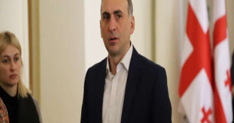 Gürcüstanda terrorçuluqda ittiham olunan müxalifət lideri həbs edilib