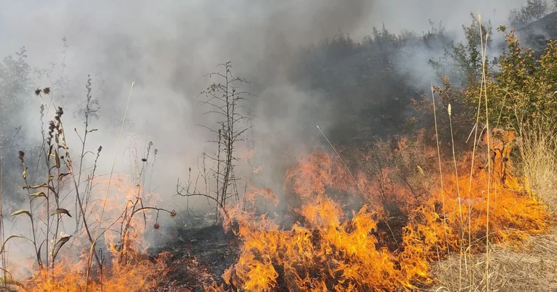 Kəlbəcərdə açıq ərazidə yanğının söndürülməsi tədbirləri davam etdirilir YENİLƏNİB 1