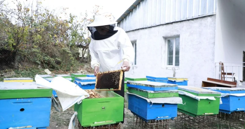 Laçın, Xocalı, Ağdərə və Xocavənddə yeni kiçik ailə biznesləri yaradılıb
