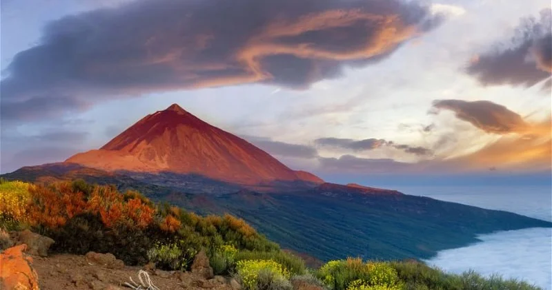 Kanar adalarında 2 min il əvvəl əkilmiş məhsul tapıldı