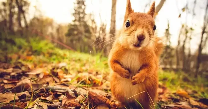 Noyabrın 28 günü Bakı və Abşeronda havanın temperaturu yuxarı olub