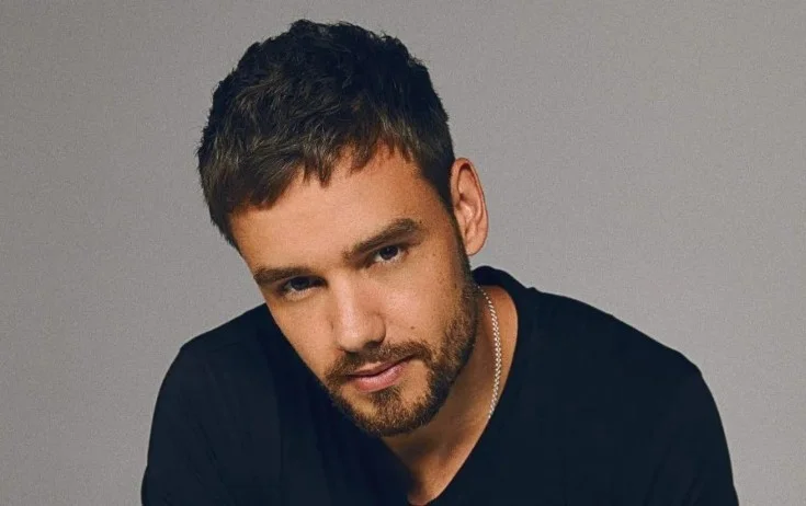 Liam Peynin ölümündə 5 nəfərin əli var