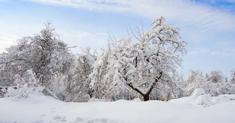 В субботу в регионах Азербайджана ожидается снегопад