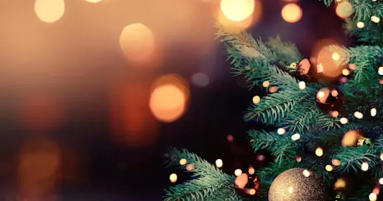 Niderlanddan yeni il ilə bağlı sərt QƏRAR