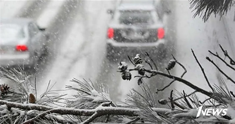 В Шамахе были спасены пять человек, оказавшихся без помощи на обледенелой дороге