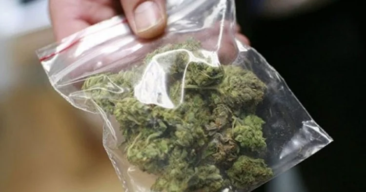 Ötən gün dövriyyədən 29 kiloqram narkotik vasitə çıxarılıb