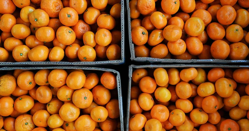 Врач предупредила о скрытой опасности цедры мандаринов