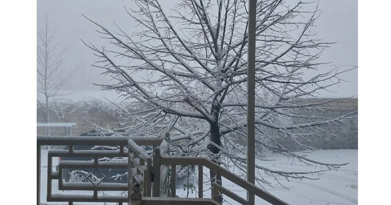 Şəki sakinləri səhəri belə açdı VİDEO