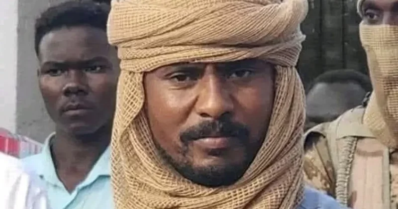 Лидер суданского движения убит ударом дрона