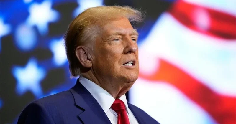 Tramp külək elektrik stansiyalarının milyonlarla quşu öldürdüyünü bildirib