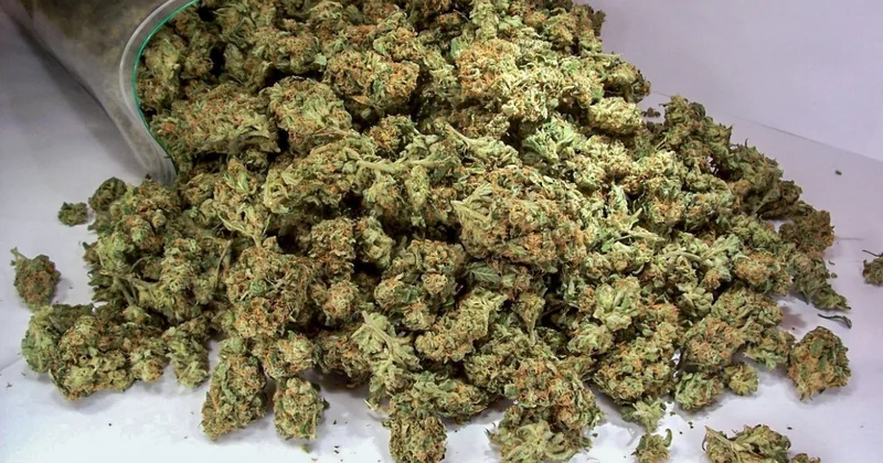 Bakıda 29 kq marixuana aşkarlanıb