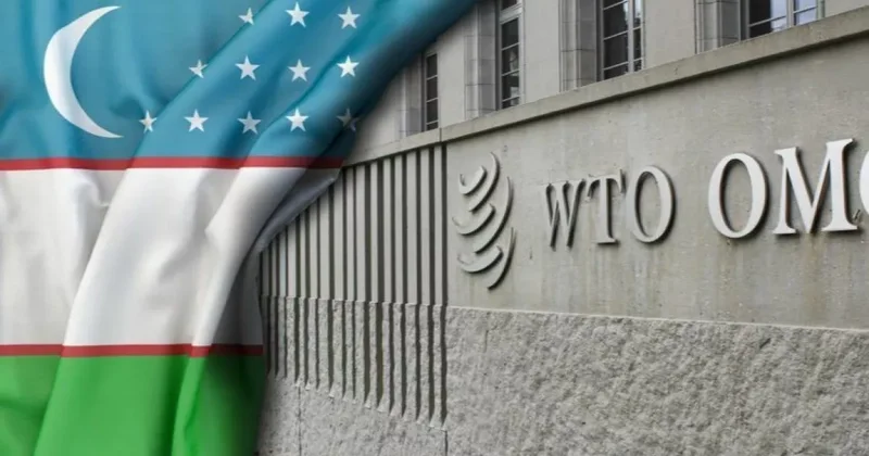 Узбекистан готовит 29 новых правовых актов для вступления в ВТО